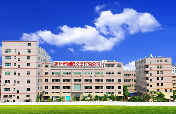 惠州市PP电子有限公司网址正式上线！ 